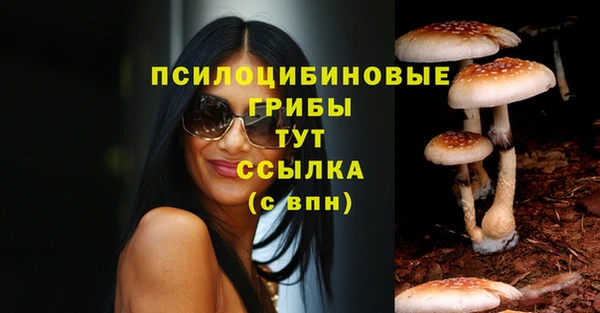 PSILOCYBIN Алексеевка