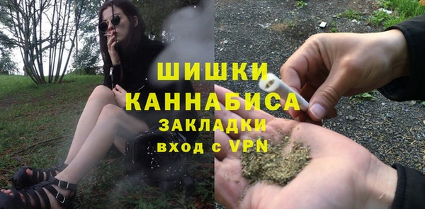 PSILOCYBIN Алексеевка