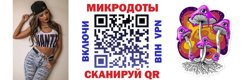 Псилоцибиновые грибы Psilocybine cubensis  Томари 